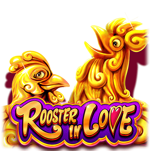 rooster love