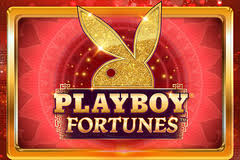 playboy fortune