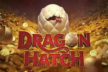 dragon hatch